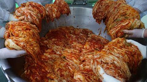 【韓國美食工廠】有趣又驚人,韓國椰子雞圈